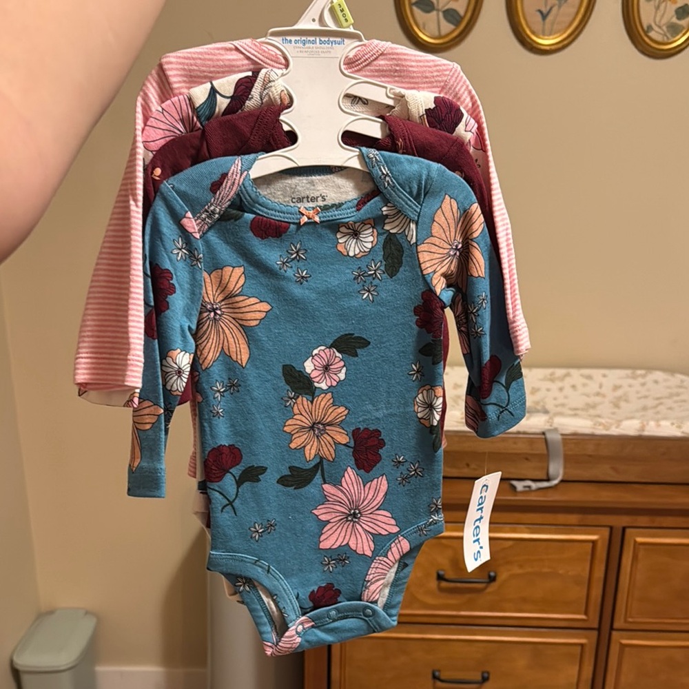 Carter's Floral and Striped Baby Bodysuit Set - Blue, Pink, Burgundy
